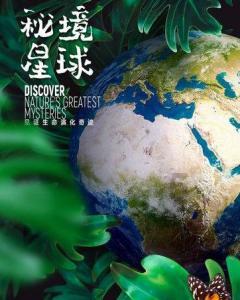 云雾高塔之重生