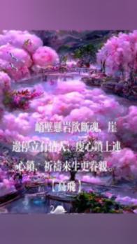 沙漠赛道驾驶